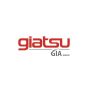 PLACA ELECTRÓNICA DE CONTROL UNIDAD INTERIOR GIATSU GIA-S12ARI