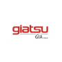 PLACA DE CONTROL UNIDAD INTERIOR GIATSU GIA-S12AR2-R32-I